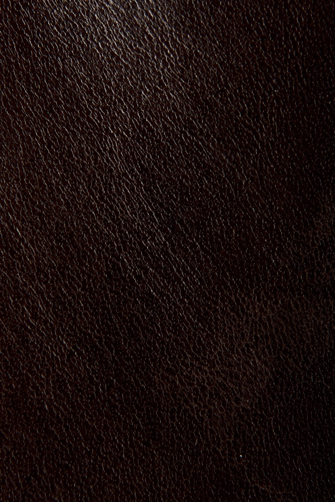 Jasper Jodhpur - Pre-Loved