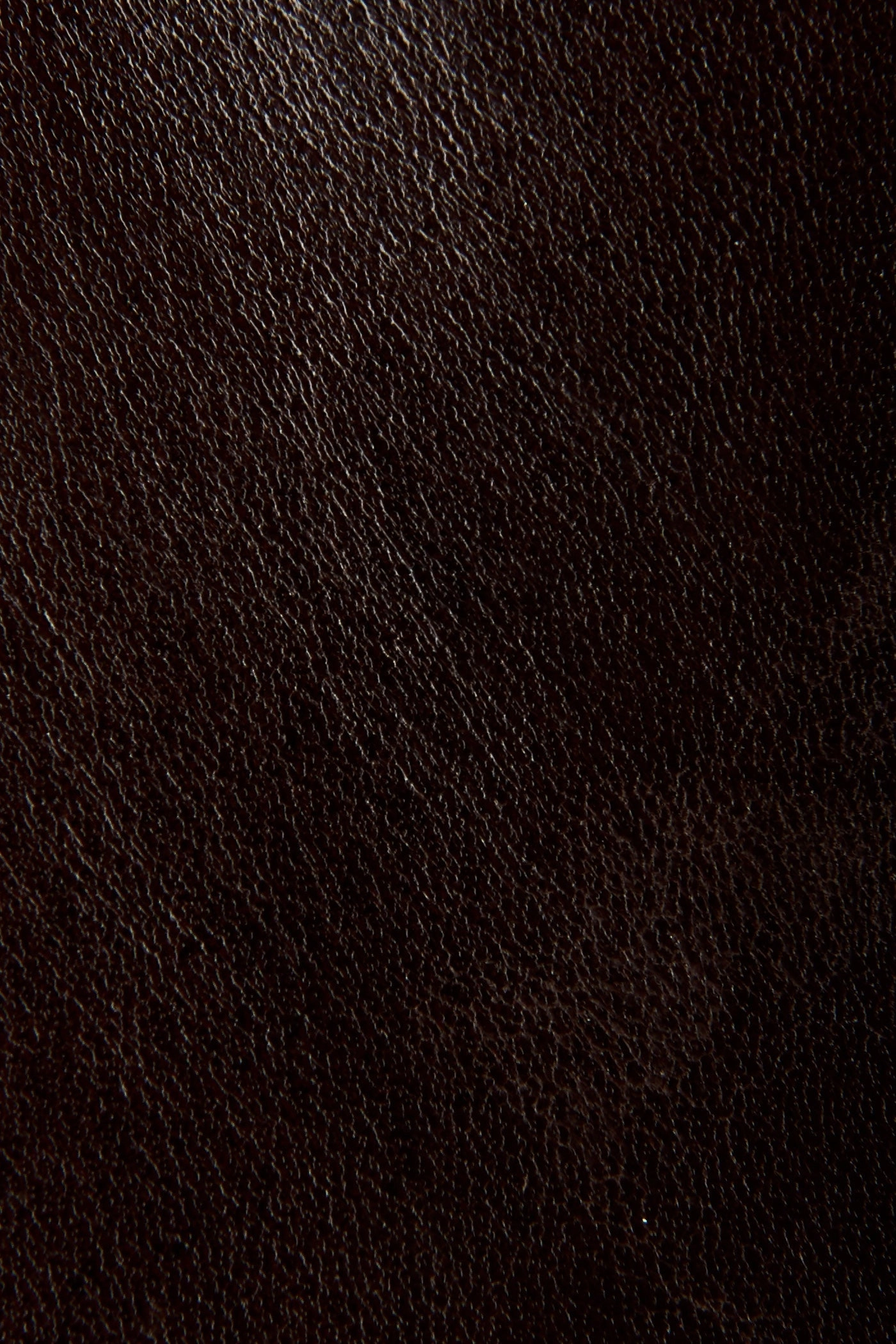 Jasper Jodhpur - Pre-Loved